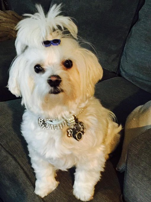 Good night loves http://t.co/CTjEYOab8V