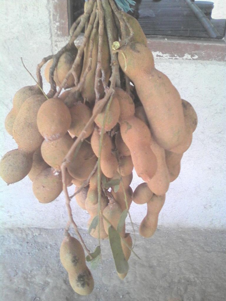 YDesti81's tweet photo. Asem ala kampung bulak siaph yg mau beli.. http://t.co/Kwj96jkIiK