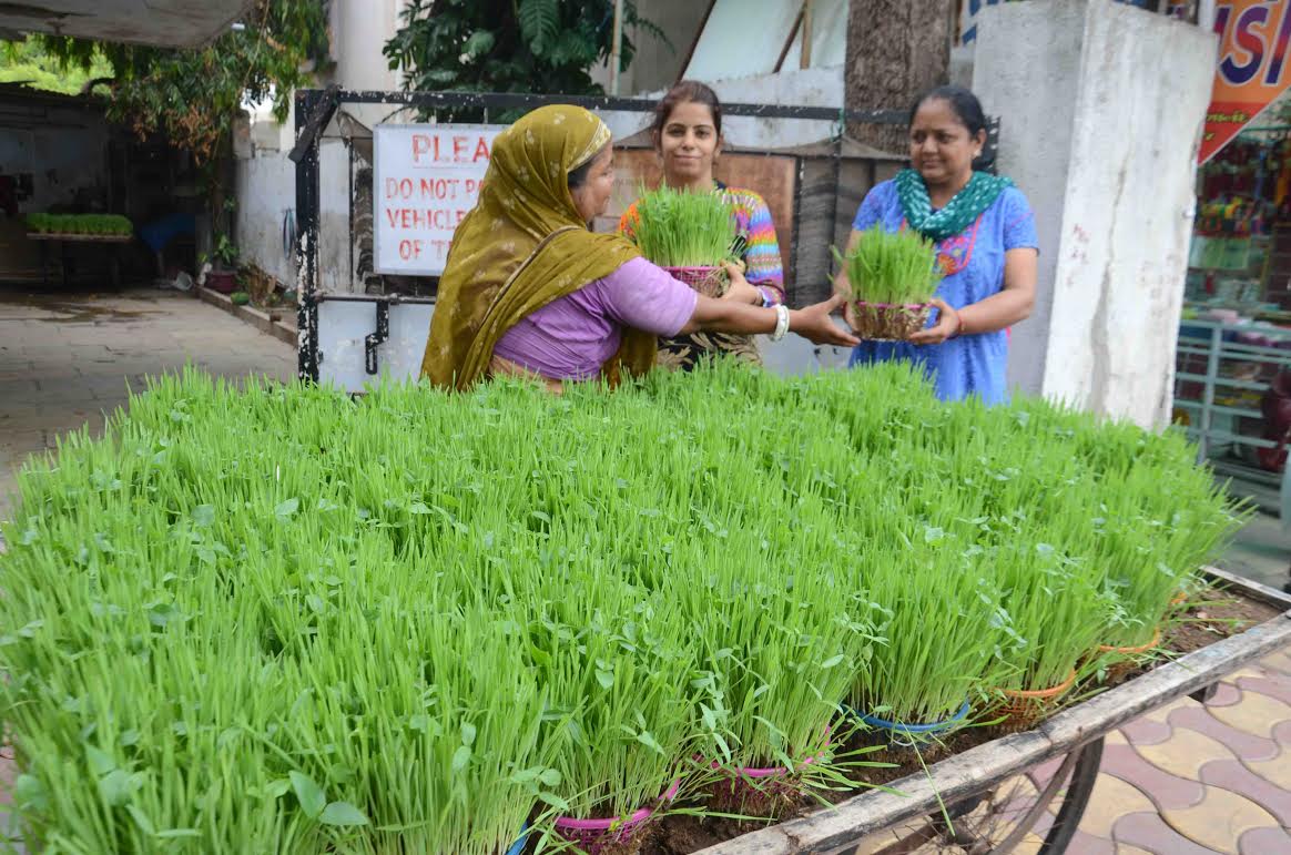 Chaturmas 2021 begins in Gujarat on July 20, will continue till November 14