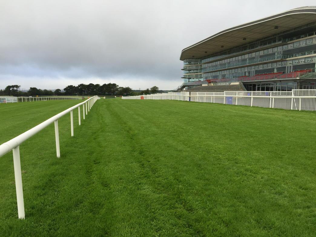 Galway Races tweet media