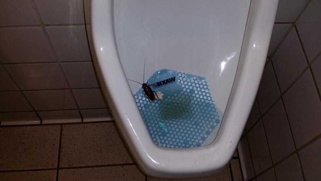 Sparks of nirvana surge and penetrate Hissing while pissing