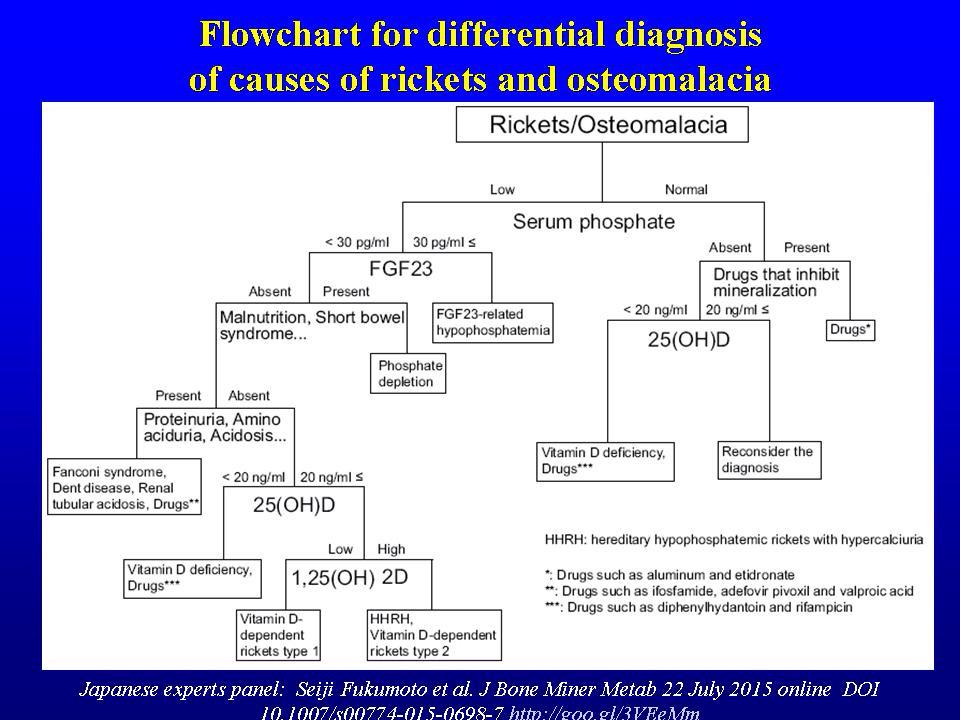 Osteoporosis Pathophysiology Flow Chart