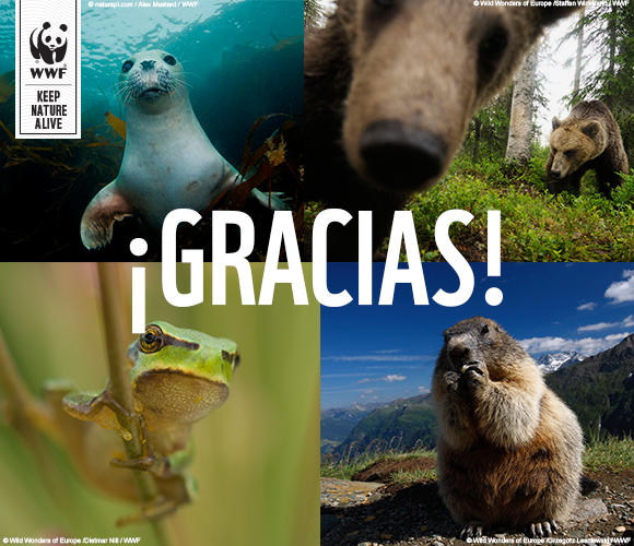 WWFespana's tweet photo. Impresionante éxito de #NatureAlert: 520.325 personas hemos alzado la voz para salvar la naturaleza europea. GRACIAS! http://t.co/ili6KfhFxE