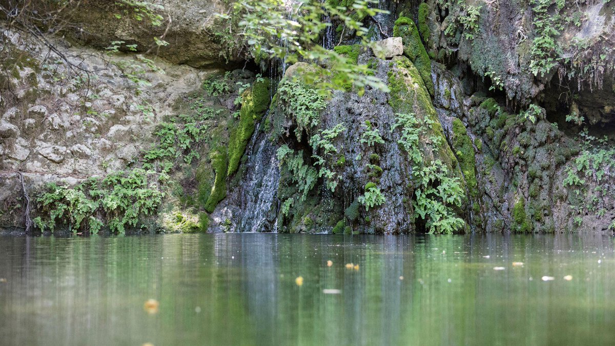 The Greek Experience tweet media