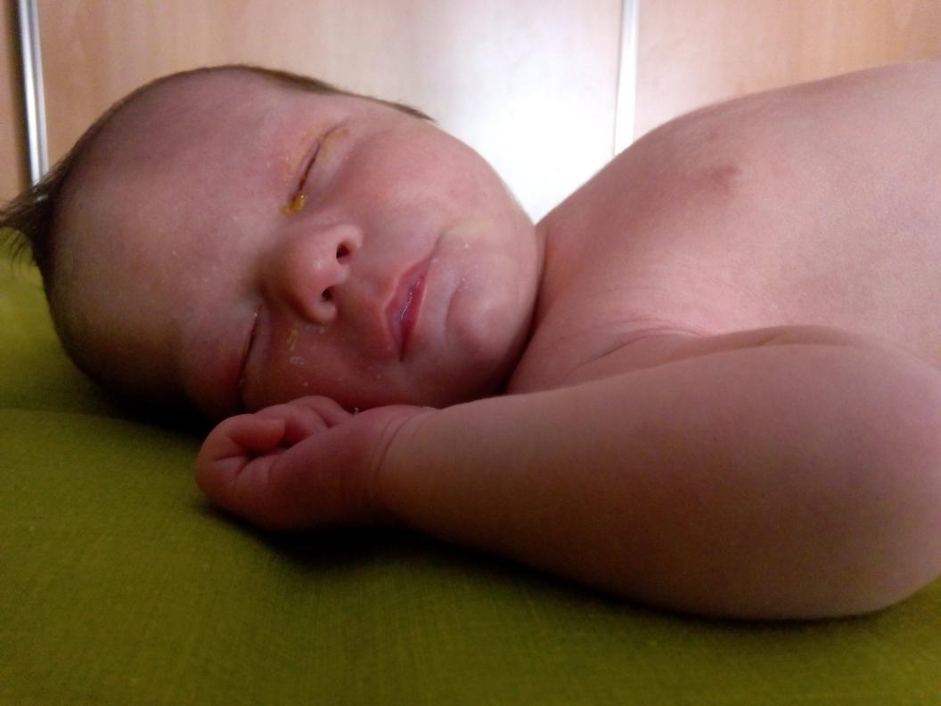 "Al hermano se le salen los mocos por ojos". (Legañas). #Mochuelita2
#Mochuelito3 #11días #BuenosDías #FelizLunes