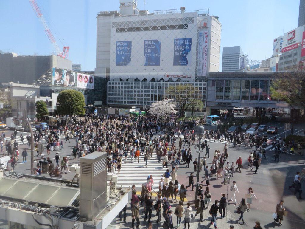 Experience the madness of the Shibuya crossing: bit.ly/1I4tDUd #mondayblogs #travel #Japan