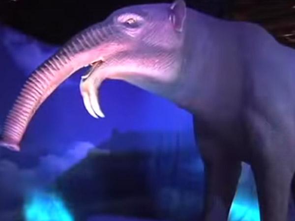 huisgenoot's tweet photo. Het jy al 'n draai by die #IceAgeSA-uitstalling by @SandtonEvents gegooi? Loer gou hier: http://t.co/oApq6IHlJa http://t.co/zYuz6pzXDm