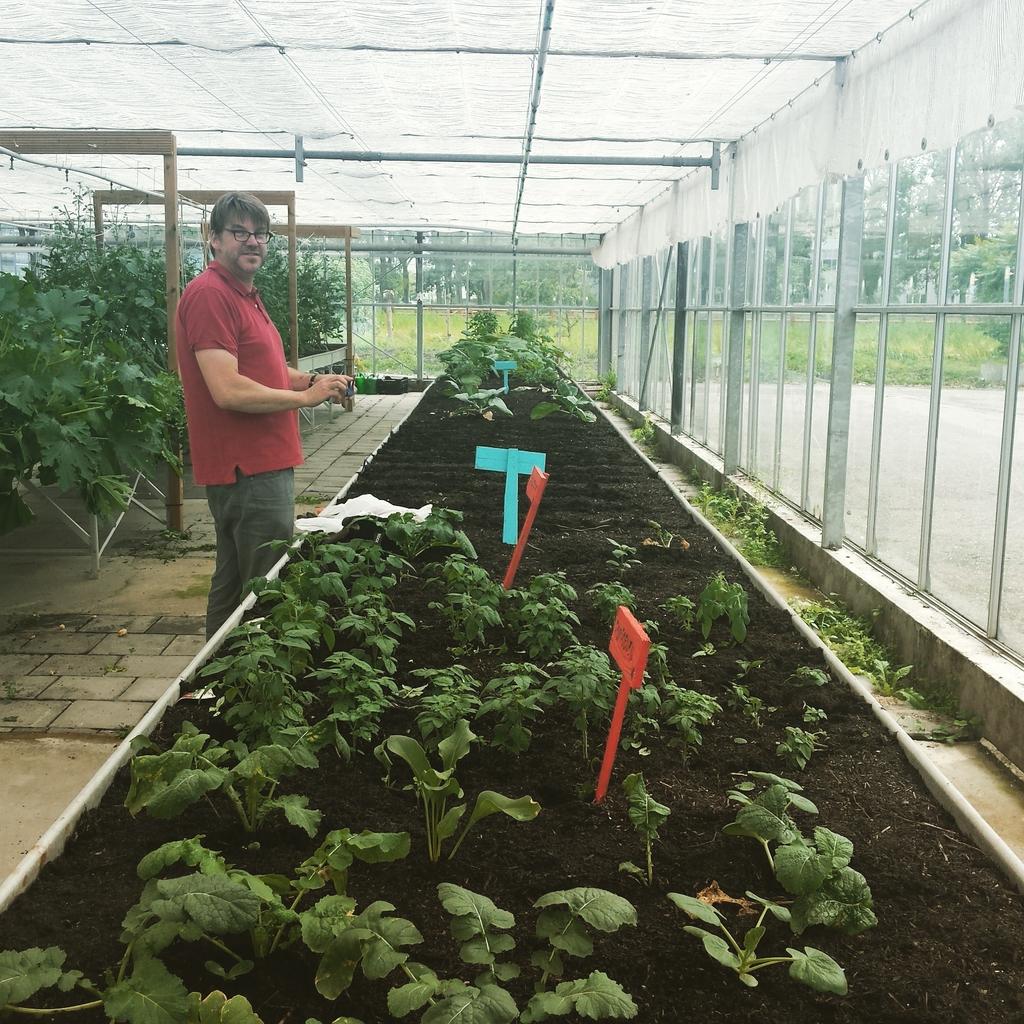 PFeldbrugge's tweet photo. Eerste slag gemaakt in het uitdunnen @RestoVanHarte kwekerij. Volgende week courgettes, binnenkort bietjes en tomaat. http://t.co/zol3z2W4Xy