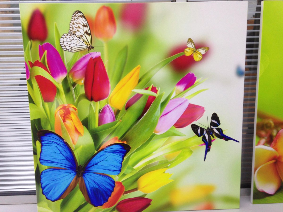 uv_art's tweet photo. Açılır kapanır sehpa aksamı yüzeyi UV Baskı çalışması;
http://t.co/OtmiFa5pXQ
0 532 615 66 35
#uvbaskı #uv #baskı http://t.co/mU6sRaCmUF