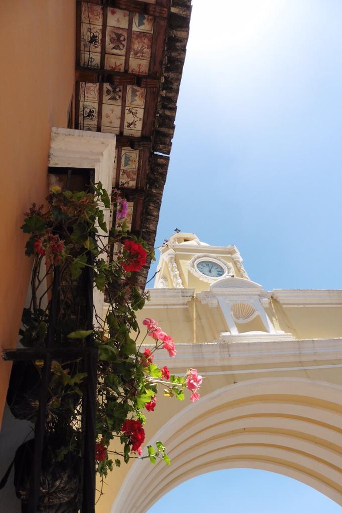 MeridianMag's tweet photo. De eerste foto's van reporter Lars uit #Antigua #Guatemala #MeridianTravel #reizen #Travel http://t.co/p8NhKEmnbH
