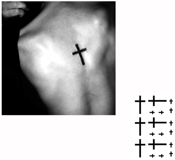 ToponeChoice's tweet image. Temporary Tattoos Cross Pattern Waterproof Body Tattoo Sticker

toponechoice.com/health-beauty/…