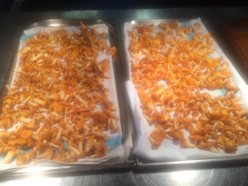 Girolles ready for lunch <a href="/CitySocial_T42/">City Social</a>