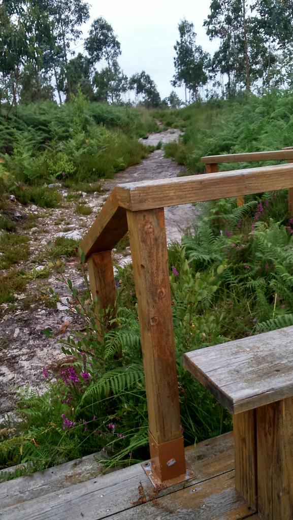 No entiendo como os enamora una ciudad teniendo esto: