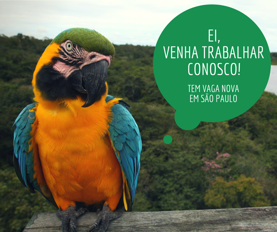 GreenpeaceBR's tweet photo. O escritório do Greenpeace em São Paulo está com vagas abertas! Venha trabalhar conosco! http://t.co/ByUfUIZuIy http://t.co/3kbiygMvOj