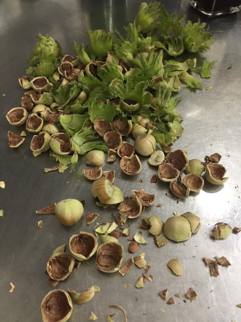 MagdalenSE1's tweet photo. Beautiful fresh hazelnuts... http://t.co/430N9lnMfK
