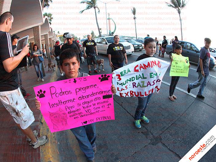 noroestemx's tweet photo. #PorSiNoLoViste
Buscan en #Mazatlán romper mito de perros "agresivos" http://t.co/IhcxXWPbvP http://t.co/huY4QeJJFn