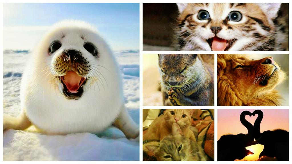 enjoy Animals ❤ #RESPECT