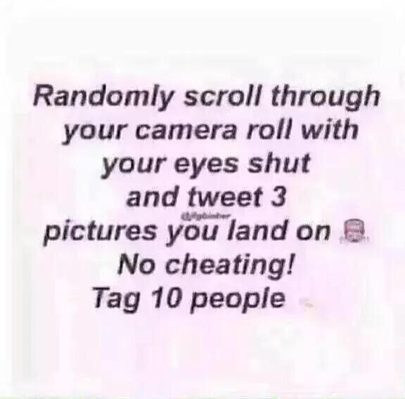 royaltrancy_ tweet picture