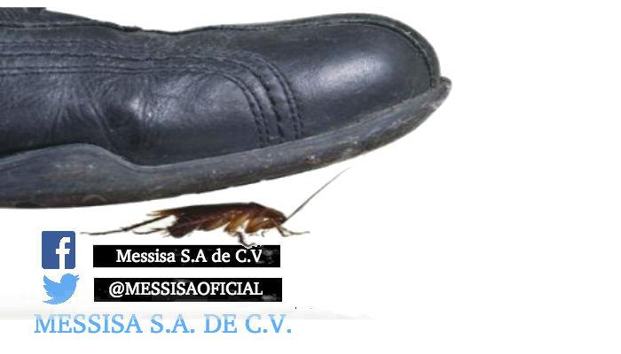MESSISAOFICIAL's tweet image. SABIAS QUE!! La sangre de las cucarachas es blanca, ya que no contiene hemoglobina
FACEBOOK: Messisa S.A de C.V