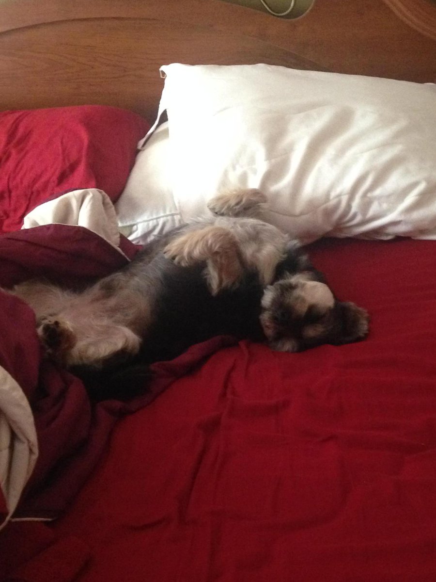 MarcieDHC's tweet photo. Yup. It's Monday! http://t.co/iomG2Pn07j
