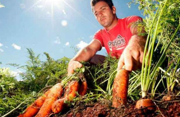 aleshammah's tweet photo. FAO CREA PLATAFORMA DIGITAL PARA AGRICULTORES FAMILIARES - http://t.co/FzfXL5dwvj via @Agroalimentando http://t.co/2aR01DVk27