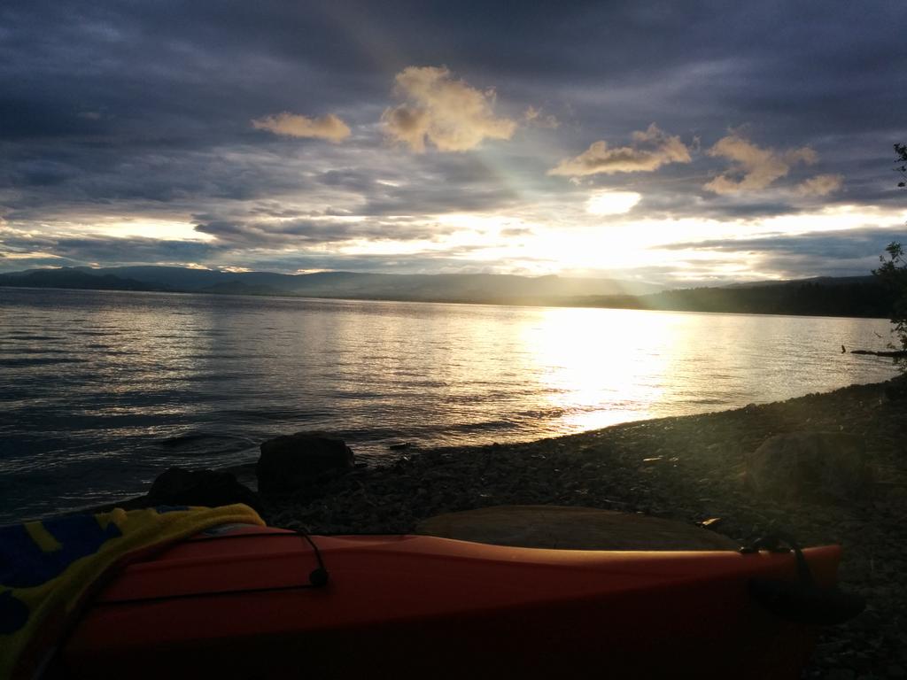 nitwild's tweet image. Happy #Monday morning!