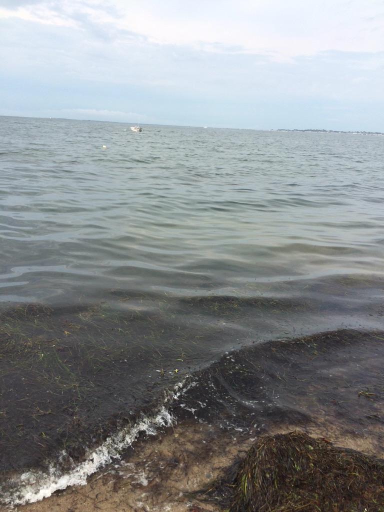 soulsearcher51's tweet photo. #BeachWalking #ILoveSummer #VacationRules #CapeCod2015 http://t.co/742cDevjhd