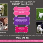 Photo by Poundies In Need (@PoundiesInNeed)