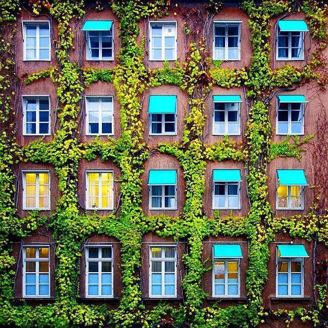 Pencereleri yemyeşil bir dünyaya açılan evleri düşleyenler 😉👍✈️❤️🌏 #malmö #isveç #sweden #turlar #destinasyonlar