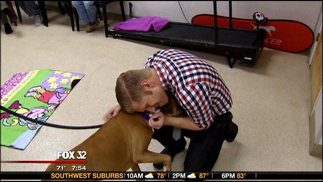 fox32news's tweet photo. JAKE ON THE JOB: Really 'ruff' day for @JakesTakes being a dog trainer for the day ---> http://t.co/v5yzoXVIev http://t.co/11k46w0Aov