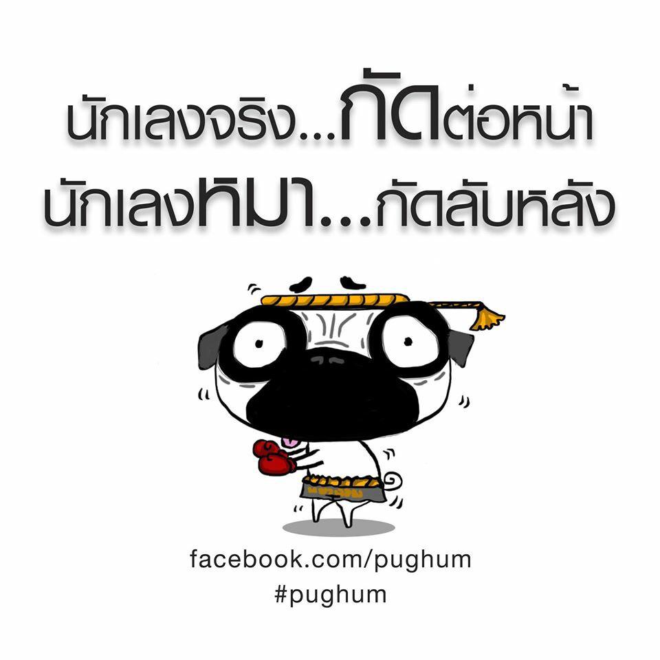FurnkeF's tweet photo. #pughum#ชอบใจๆตงๆ http://t.co/0c0UqKQwRS
