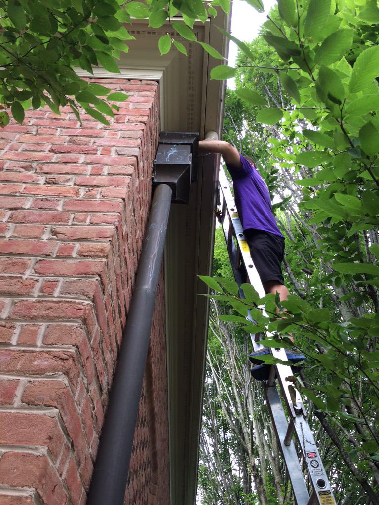 WindowGenieOSU's tweet image. Dirty gutters? Squirrels, birds and other animals building a nest? Call us today and we'll clean them out for you!