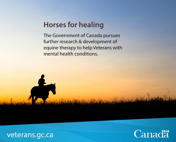 VeteransENG_CA's tweet photo. Government of Canada announces continued funding for equine therapy R&amp;D http://t.co/qLRJ6jttsN http://t.co/a8GN8QfB6C