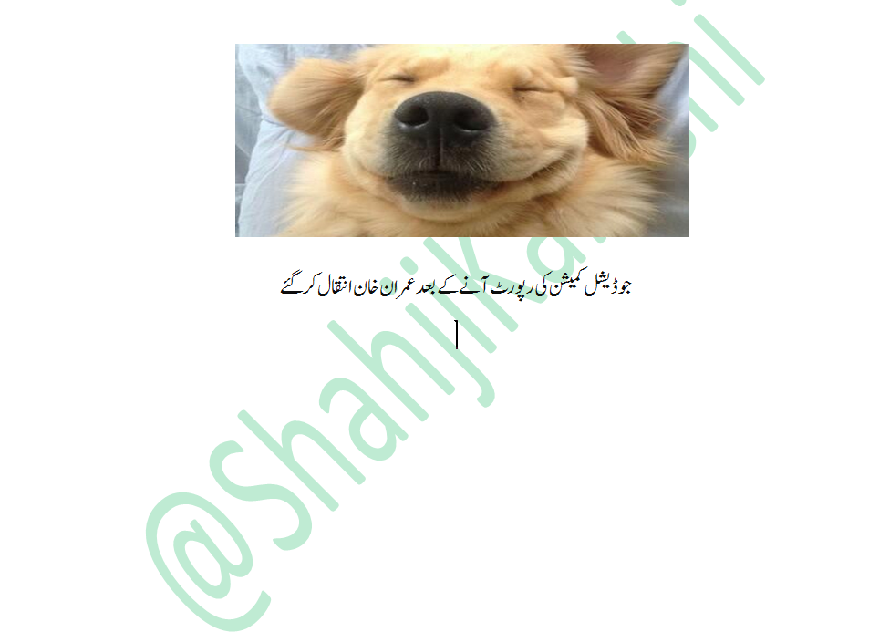 ShahJiKarachi's tweet photo. #PTI #PTIPunctured #MQM Imran Khan behosh hogaye http://t.co/CJXBKYnU9w