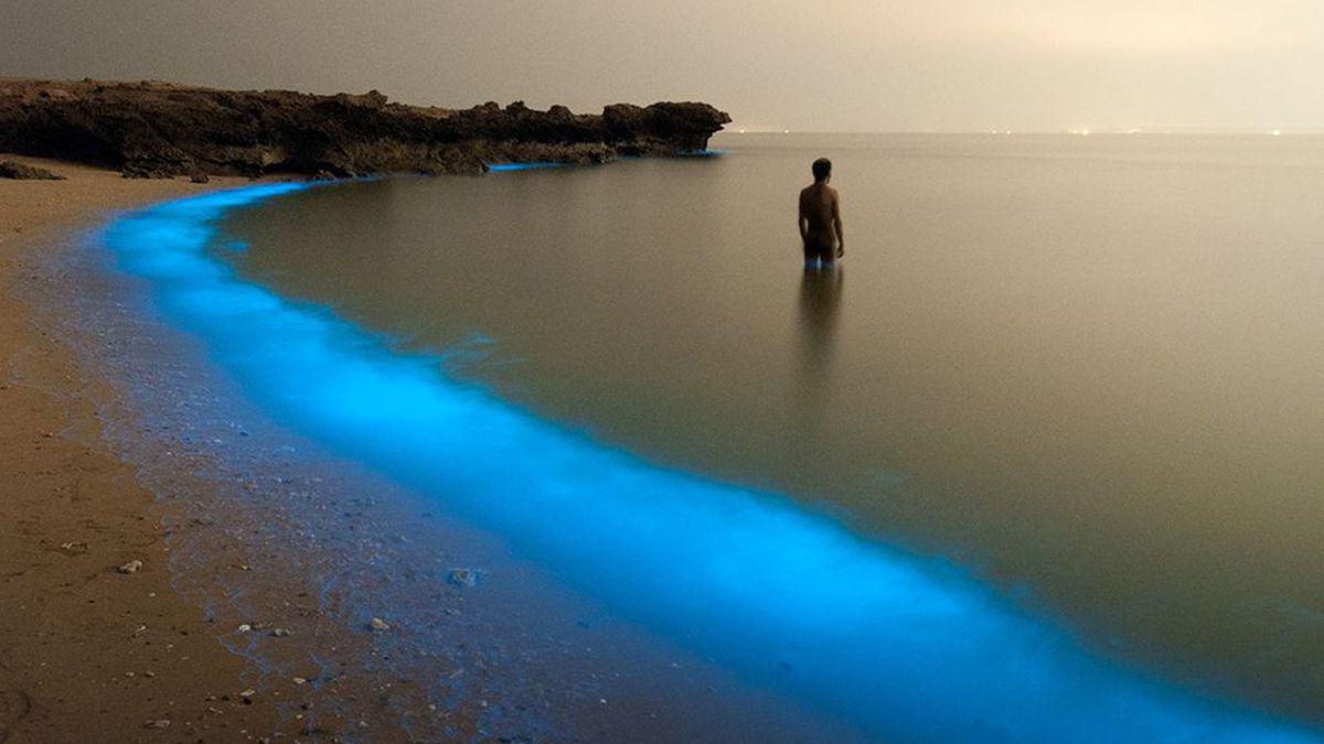 verge's tweet photo. Why this beach is glowing like a beautiful night light http://t.co/Hl7FWX5hgI http://t.co/zVlCN2UY5V