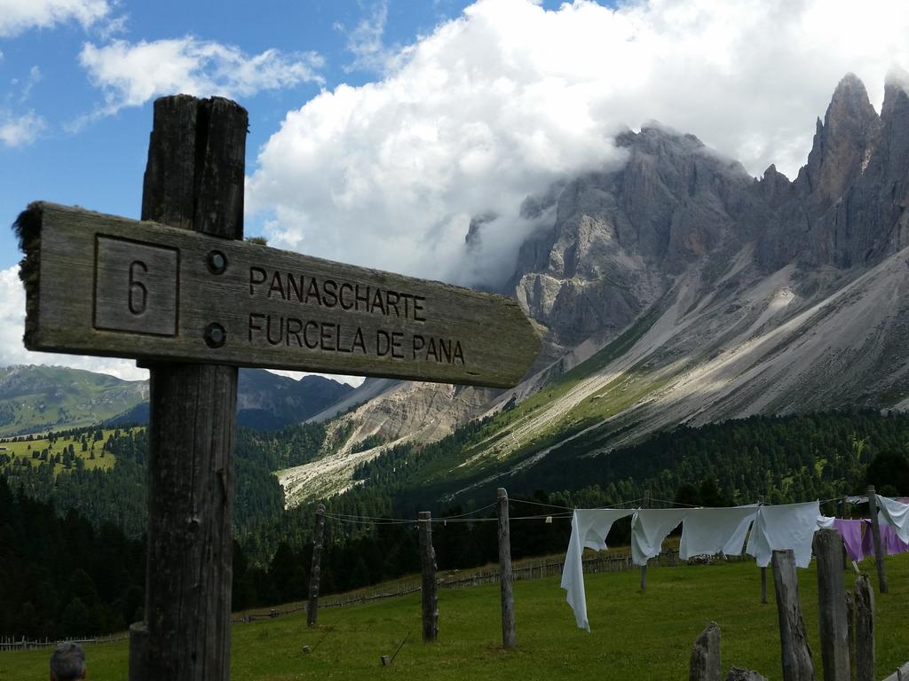 babyTrekking's tweet photo. Su prosegue o si resta? Stupenda malga #brogles! #dolomiti http://t.co/LbMucHR1lv