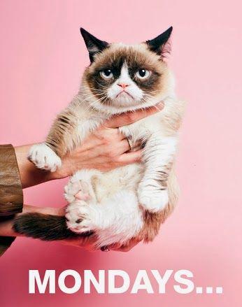 OptimumCV's tweet image. #HappyMonday everyone! Monday calls for a #newbeginning! A #newbeginning starts with a perfect new #CV! We can help!