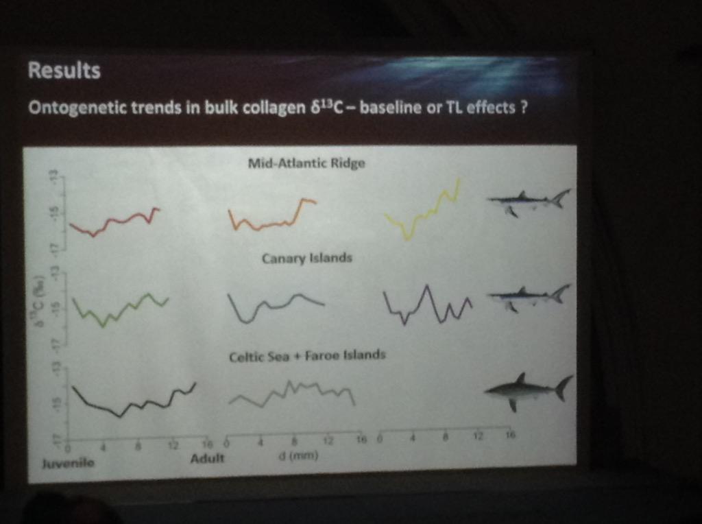 Ontogenetic variation in bulk collagen SI signatures tricky to tease out in pelagic sharks. S. Magozzi #FSBI15