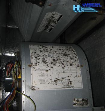 HarringtonACInc's tweet photo. Air Handler's job is to circulate conditioned air. #acinspection #harringtonac #acrepair http://t.co/u2p1iT7ykD http://t.co/0CgCnhsUjp