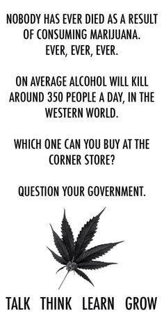 _jena4n's tweet image. #LegalizeMarijuana