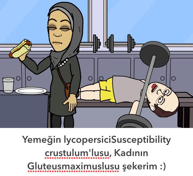 Latince derdini anlatmak Gılgamış destanı yazmaktan zordur... :)