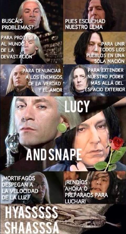 SoyCarmenDorado's tweet image. Teníamos una infancia entrañable.
#PokémonHumor #HarryPotterhumor