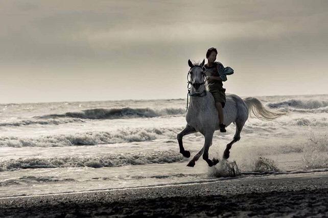 filmWard's tweet photo. Belgische cinema is groots stylist rijker: #WimVandekeybus #GallopingMind - release 9/9 - @KFD_BE @SavageFilm http://t.co/UzybDDisVa