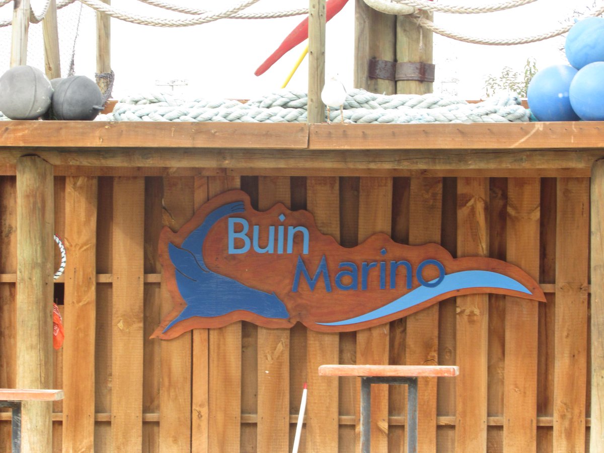 Fran_Ignacia23's tweet photo. Lo que mas me gusto del buin zoo en estas vacaciones/ What I liked most of buin zoo on this vacation🐧😜 http://t.co/oAvrfJhgd1