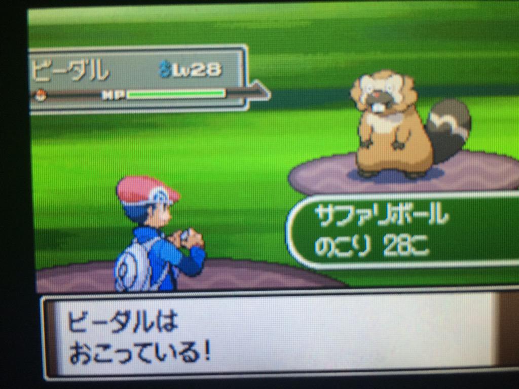 アキ ポケモン垢 Bullet Punch4u Twitter