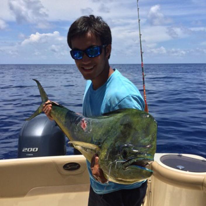 FishTipsDaily tweet picture