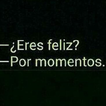 RodDaam's tweet image. 