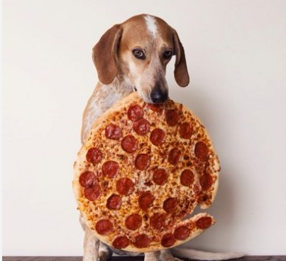 That is one big piece of pizza.