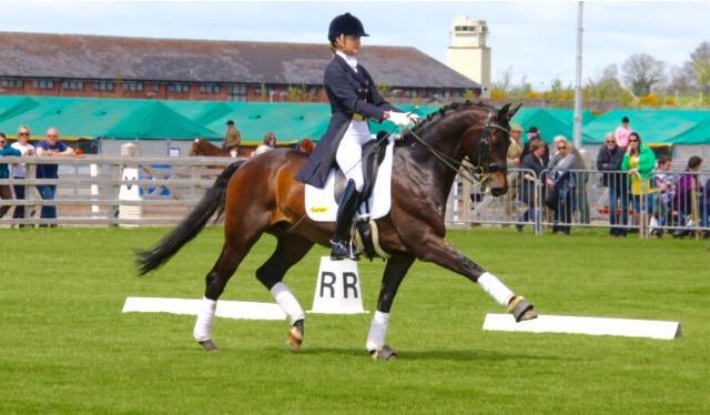 Dressage Ireland tweet media