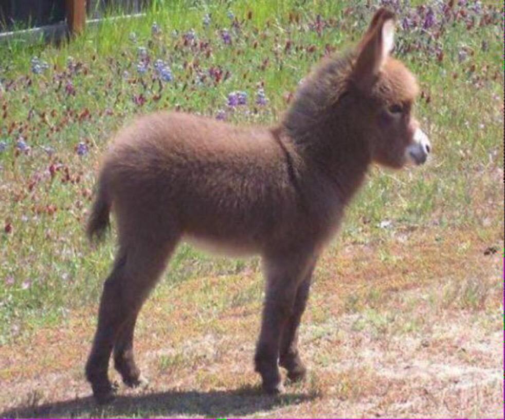 CauseWereGuys's tweet photo. Just in case you didn't get any this weekend, here's a little ass for you http://t.co/9pyjjdTZVc